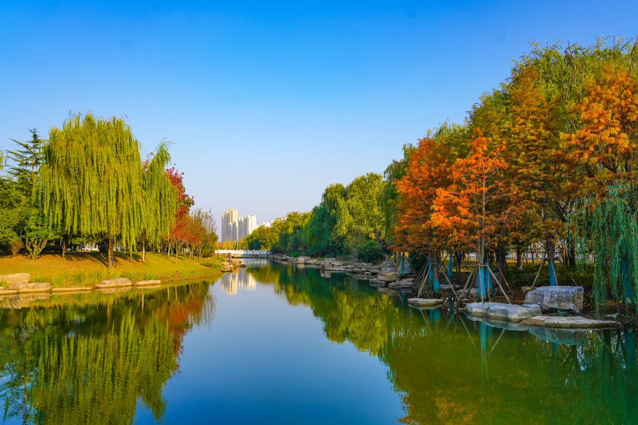 秋阳“抹过”的学院，“红了”！